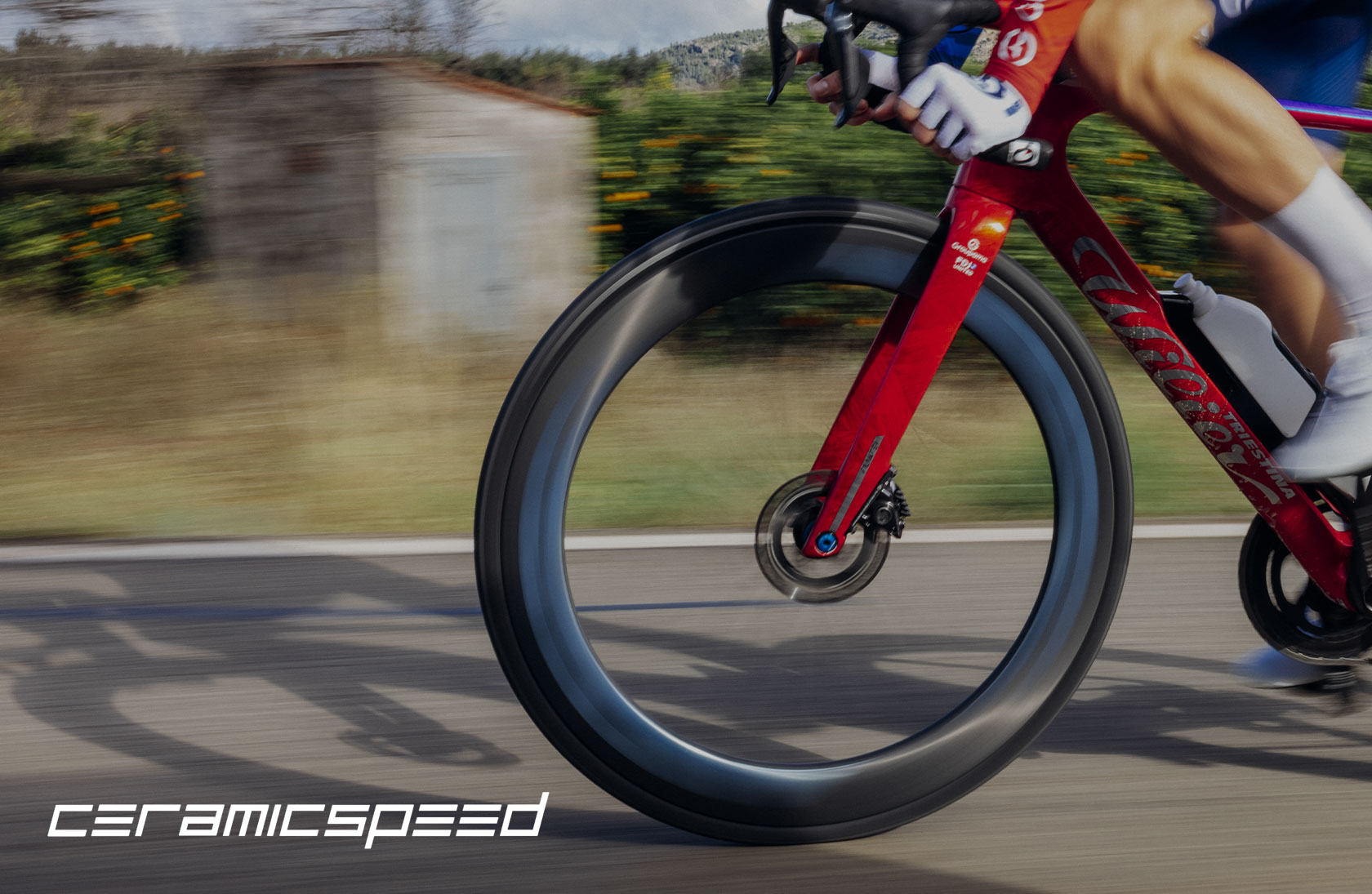 Miche CeramicSpeed Bearings